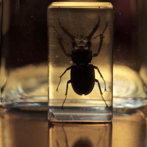 Swiftly (feat. Rals & DJ Auxy Clean)