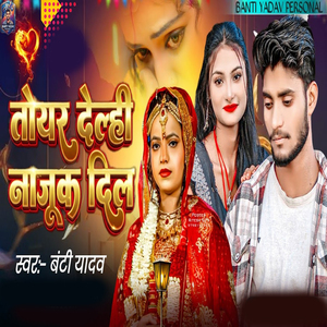 Toyar Delhi Najuk Dil