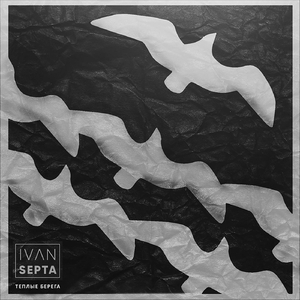 Перелетные птицы