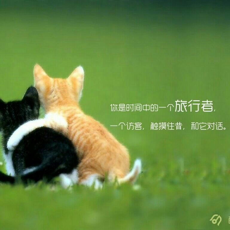 /