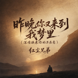 昨晚你又来到我梦里(深情换来你的不在意)