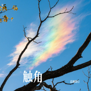 如果有来生，可不可以等等我