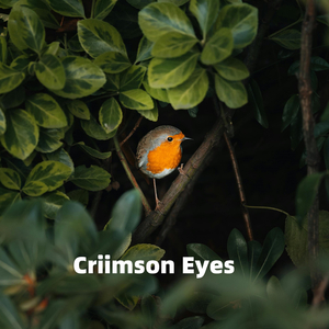 Criimson Eyes