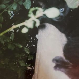 INFLIGGIAMOCI UNA PENA