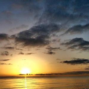 答非所问就是你给出的答案