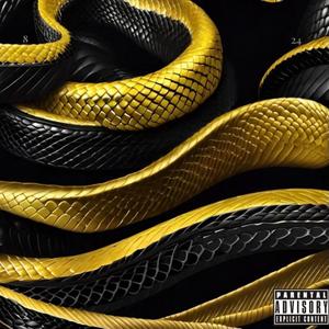 MAMBA Freestyle (feat. Roi Audyo, CË-dephrent, Christian Blandin, Fitt3d, Gr8deASTEEZE & Kory Braditz)