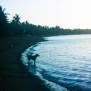 Sisigaw-Sigaw