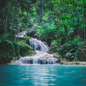 绿袖（书店背景音乐）