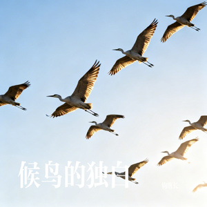 候鸟的独白
