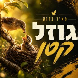 גוזל קטן