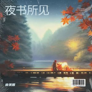 夜书所见