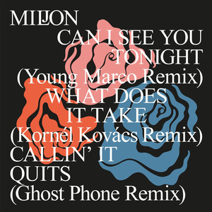 Can I See You Tonight (Young Marco Remix)