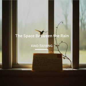 The Space Between the Rain