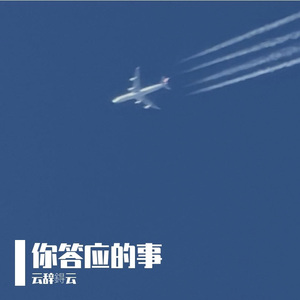 你答应的事