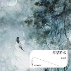 年华若水