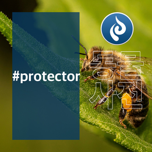 The Wind Became a Typhoon, But I Feel Comfortable at Home