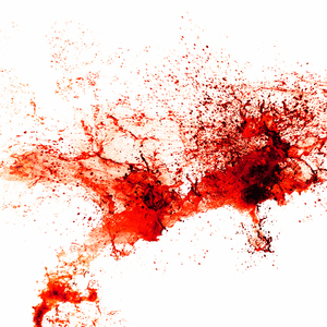 Fleischwerdung (Feat. Braunton)