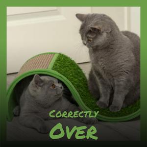 Correctly Over