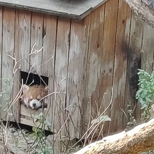 My dmeo（prod.Yn1Jasper）