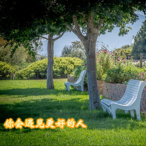 你不说真心话让我怎么为你大冒险 (DJ版)