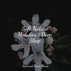 Soft Echoes