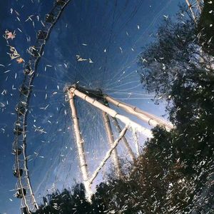 想去海边吹吹风