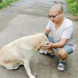 雁字回时