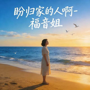 盼归家的人啊 (DJ涵哈版)