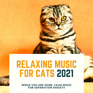 Relaxing Music for Cats