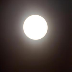 I skymningens ljus (Acoustic Version)