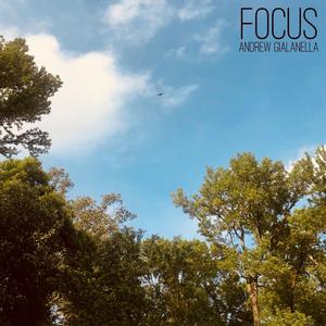 Focus