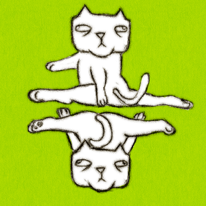 贝多芬-欢乐猫（臭猫（不是） remix）