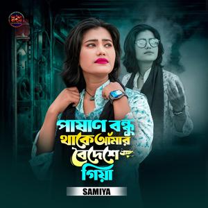 Pashan Bondhu Thake Amar Boideshe Giya