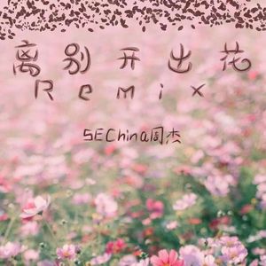 离别开出花（Remix）