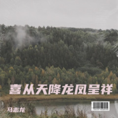 喜从天降龙凤呈祥