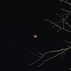 漆黑的夜晚只剩下了月亮