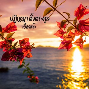 เอื้องแซ๊ะ