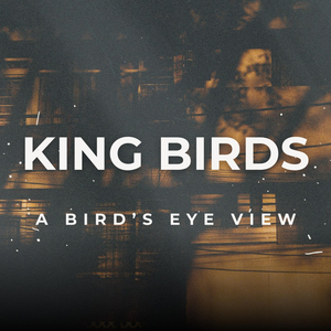 Penny For Your Thoughts