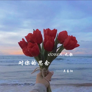 对你的思念（Remix）