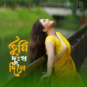 তুমি দুঃখ দিলে