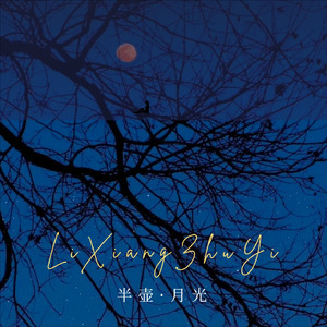 半壶月光