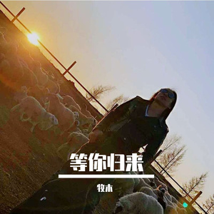 等你归来