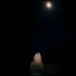 skullture (freestyle)