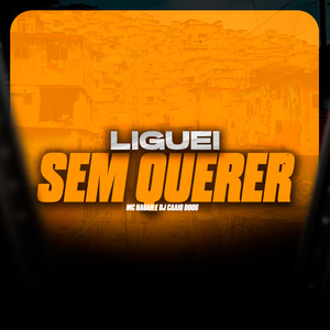 Liguei Sem Querer