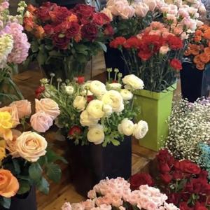 再回眸（DJ版）