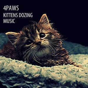 Calming Music For Cats