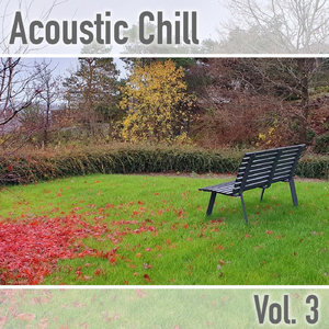 Acoustic Mood