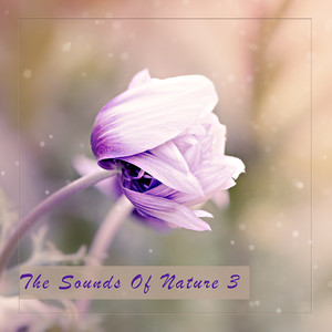 Some Funny Sort of Eye (Water Version)