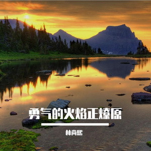 勇气的火焰正燎原