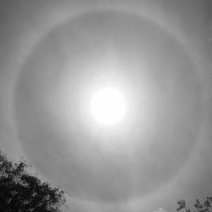 Halo